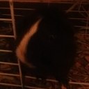 Jay Midnight - @Jay_Cort - Twitter