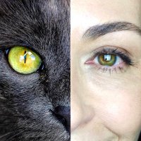 A. R. (@deelittleroman) 's Twitter Profile Photo