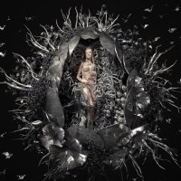 Haus | ignipax.eth (@hausbauss) 's Twitter Profile Photo Haus | ignipax.eth (@hausbauss) 's Twitter Profile Photo