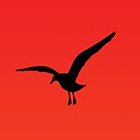Eli 5 Stone (@eli5stone) 's Twitter Profile