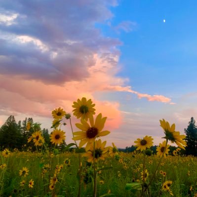 AllAmericanNP's profile picture. insignificant me