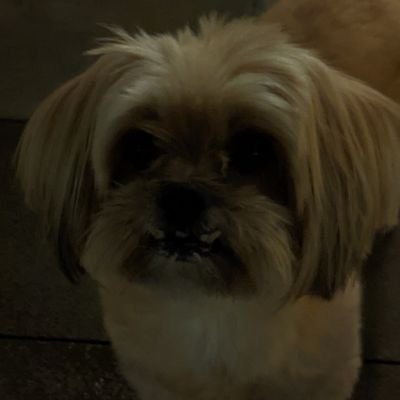 cmos310's profile picture. 