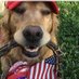 Elaine larsen (@elainelarsen2) Twitter profile photo Elaine larsen (@elainelarsen2) Twitter profile photo