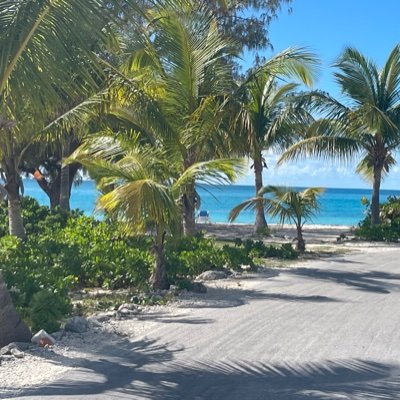 ctj1950's profile picture. The Best Defense is a Good Offense.