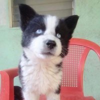 CARMENCITA 🌺🌹🌻🌴💫🌎 (@meybedom2) 's Twitter Profile