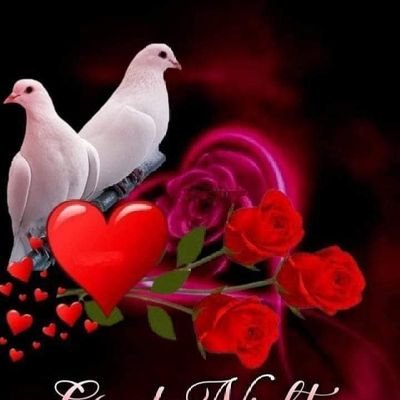 Velmuru09124186's profile picture. 