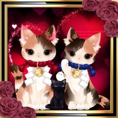 みけにゃんさんのプロフィール画像