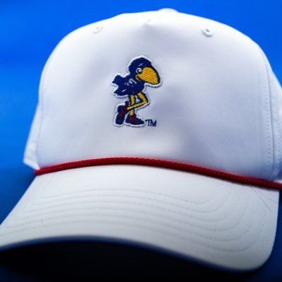 ErolKinkaid's profile picture. love Kansas Basketball Rock Chalk!
