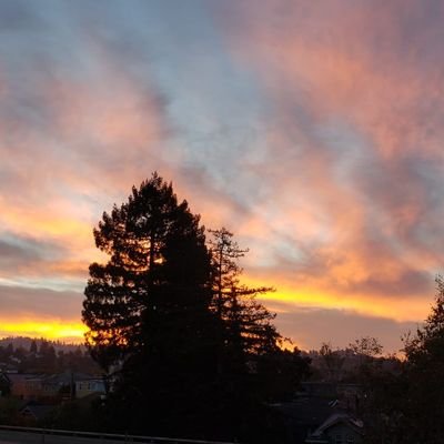 pileaux2000's profile picture. 