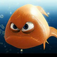 Rabid GoldFish (@dtitland) 's Twitter Profile