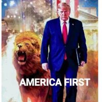 STOP VOTER FRAUD (@lmp4usa) 's Twitter Profile