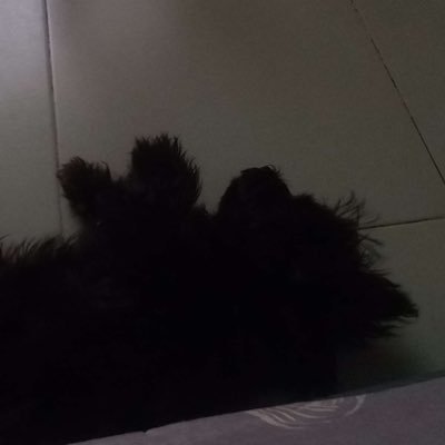 xy_malfxy Profile Picture