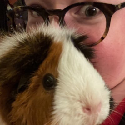 Queer. Spiritually liminal chaplain-to-be. Servant of guinea pigs. Fat Bear Week enthusiast. 🏳️🌈 (she/whatever, 30something)