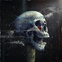 DEAD FUCKING CROWN (@deadcrownband) 's Twitter Profile