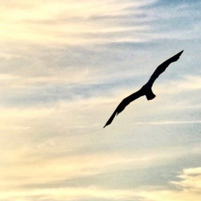 ajlasmarin's profile picture. 