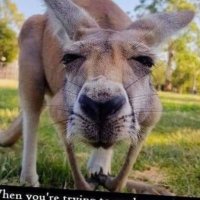KJ714 (@thekeester) 's Twitter Profile