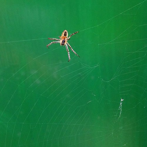 yy77w's profile picture. 