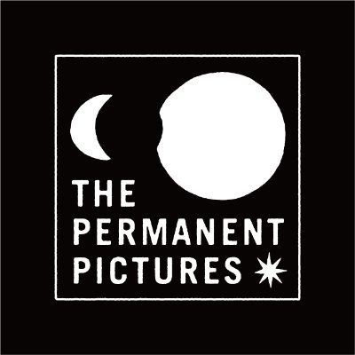 THE PERMANENT PICTURES