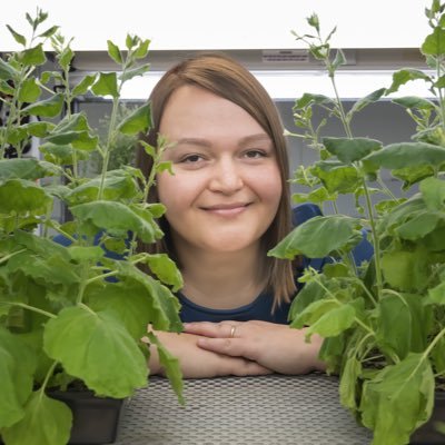 Plant 🌱 Energy ☀️ Biotechnology 🧬 Group leader @MonashBiol