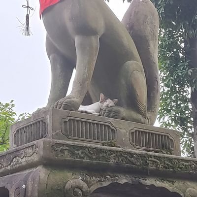 wtr232018's profile picture. 