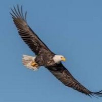 Anthony Pasqua (@anthonypasqua5) 's Twitter Profile