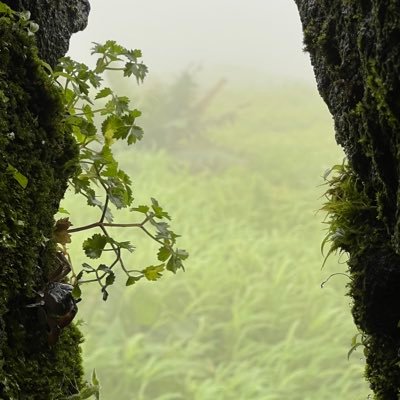 sanjay_kathayat's profile picture. 