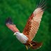 Viswa (@vijaykumar8344) Twitter profile photo Viswa (@vijaykumar8344) Twitter profile photo