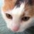 mosemary's profile image