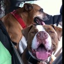 Katie Skipper - @kskipper2010 - Twitter