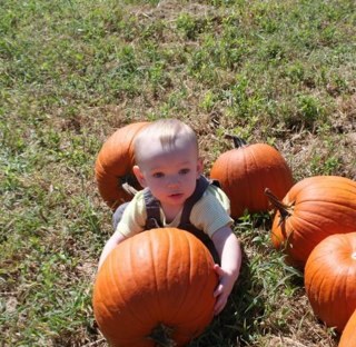 shaungravois's profile picture. 