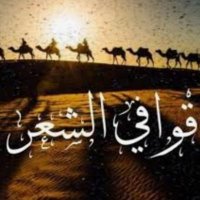 قوافي الشعر(@qawafi_142) 's Twitter Profile Photo