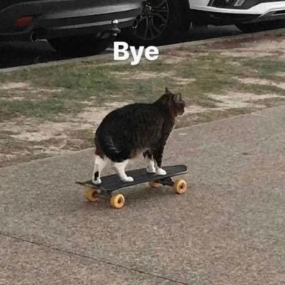 PP_Pena23's profile picture. 