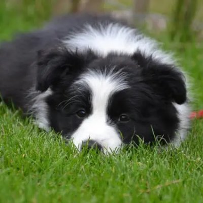 BRUCELE32250607's profile picture. Get to know more friends, share plain life and look at the world.