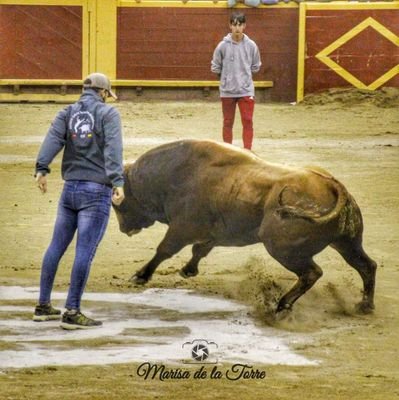 Tauromaquia como forma de vida! El Toro por encima de todos! ¡ K!