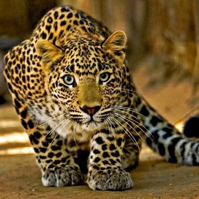 UpStrik's profile picture. Diving deep into the blockchain abyss, where volatility meets opportunity. Holding strong and riding the digital currency revolution to new heights!  #Crypto