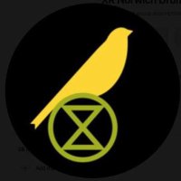 XRNorwich(@NorwichXr) 's Twitter Profile Photo