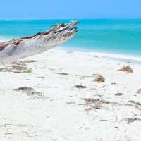 Former Gulag Inmate (@eljsol) 's Twitter Profile Photo