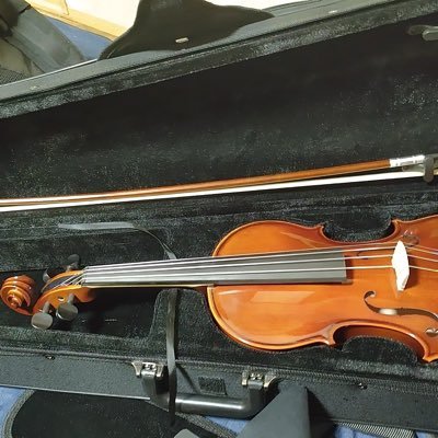 趣味でバイオリンをやってます🎻コンサート企画や運営もしております