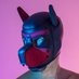 mr_sugardoggy (@mr_sugardoggy) Twitter profile photo mr_sugardoggy (@mr_sugardoggy) Twitter profile photo