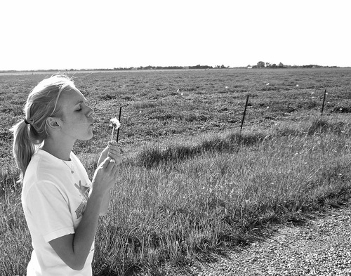 patricia_leigh's profile picture. 