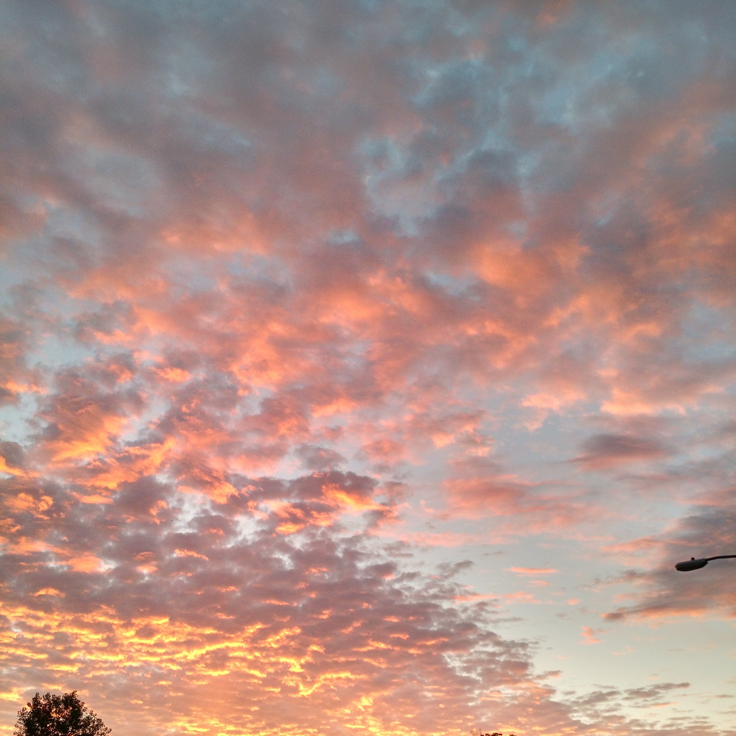 MobileInternetS's profile picture. 