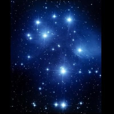 njm04226905's profile picture. 