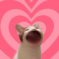 309호 작업실💫(애옹) (@0309catsuga) 's Twitter Profile Photo 309호 작업실💫(애옹) (@0309catsuga) 's Twitter Profile Photo