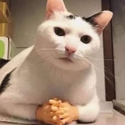 Alex28028103's profile picture. 