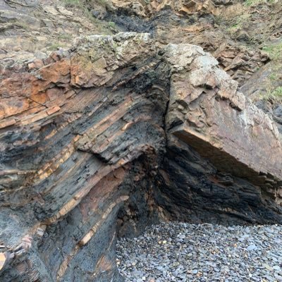 fin11975229's profile picture. mhm