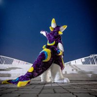 萊恩-ミロ&ポル &ルーフ/ NEXT→Hi Furry→UTFG 2025 (@roofnmiluo1011) 's Twitter Profile Photo 萊恩-ミロ&ポル &ルーフ/ NEXT→Hi Furry→UTFG 2025 (@roofnmiluo1011) 's Twitter Profile Photo
