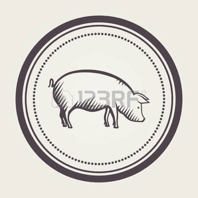 piggy_bttm's profile picture. 