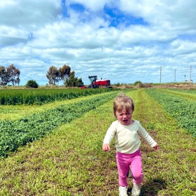 LKF Contracting... We'll Bale You Out! Horse Hay… Quality Hay For Your Horse. Efficient Ag… Tech, Engineering & R&D. Northern Victoria, Australia 🇦🇺