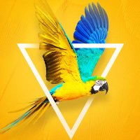 Radhika Gupta |(Ø,G)| 🟣| (@radhika8104) 's Twitter Profile