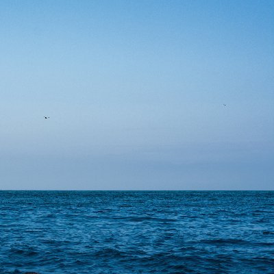 wwwoldtimeme's profile picture. 毕路南旅，咏而归